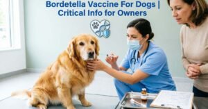 Bordetella Vaccine For Dogs