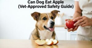 Can Dog Eat Apple