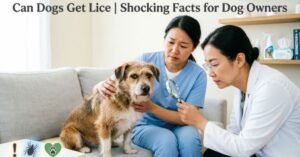 Can Dogs Get Lice