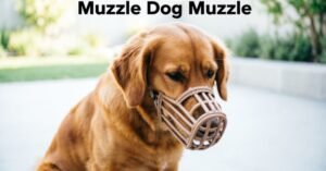 Muzzle Dog Muzzle