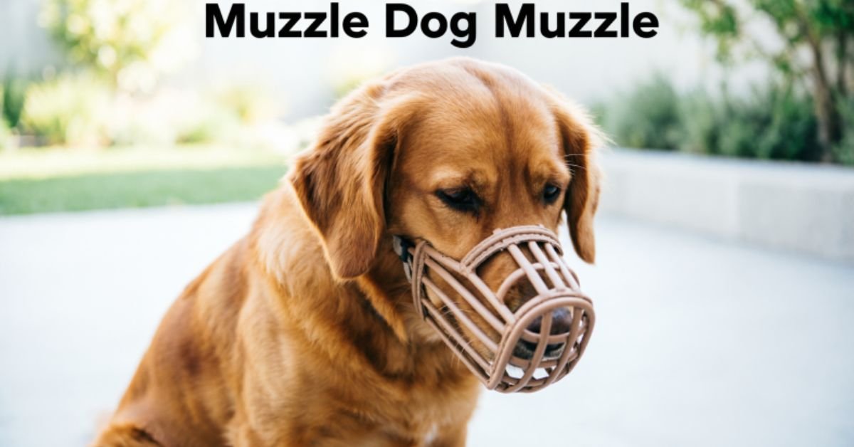 Muzzle Dog Muzzle