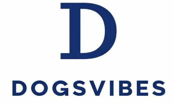 dogsvibes.com