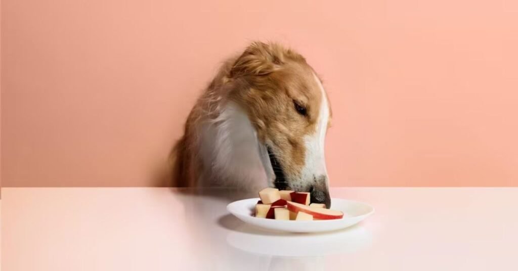 Can Dog Eat Apple