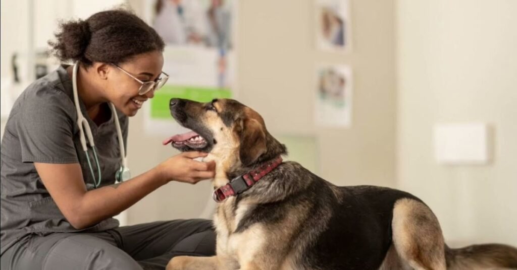 Dog Paw Yeast Infection