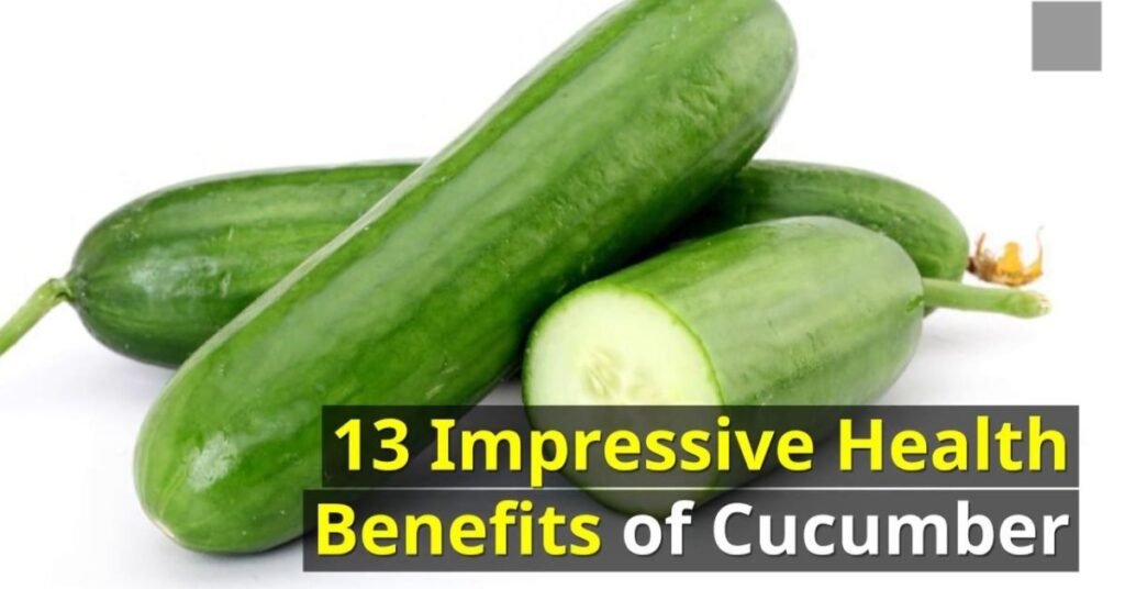 Can Dogs Eat Cucumber