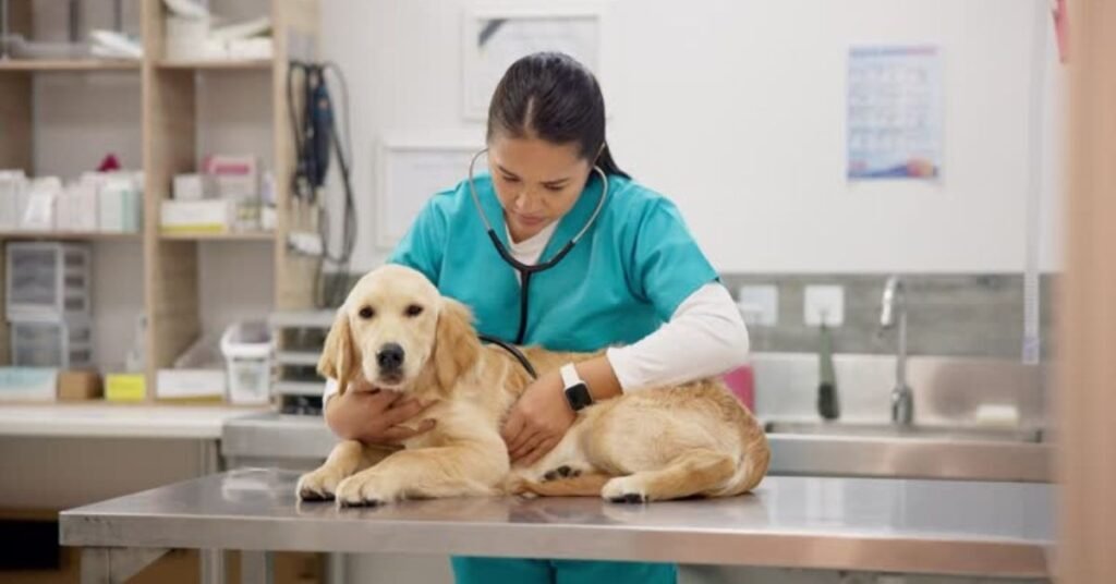 Dehydration Medicine for Dogs