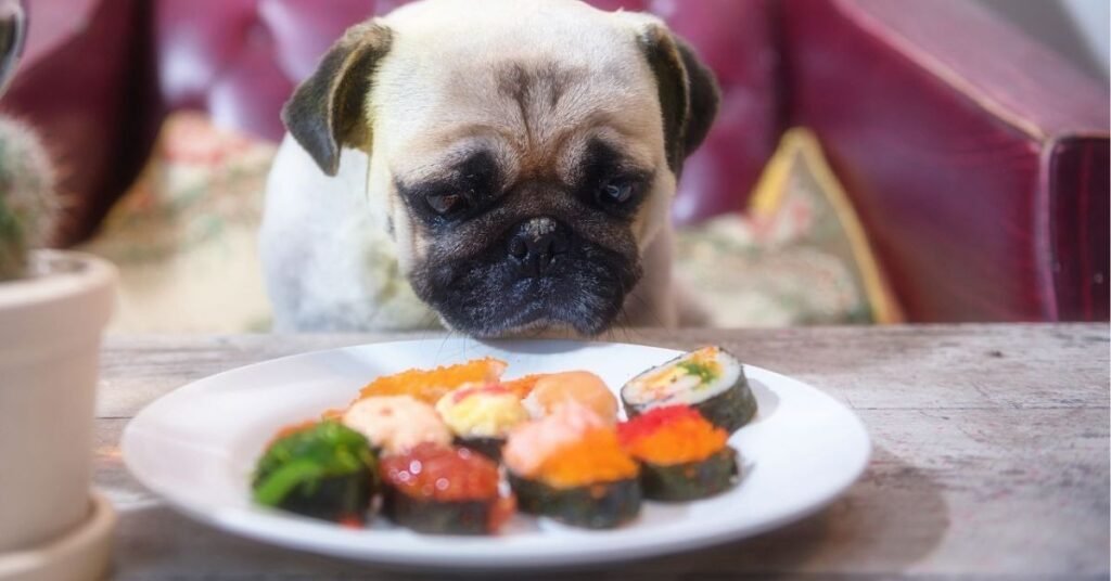 Can Dogs Eat Sushi