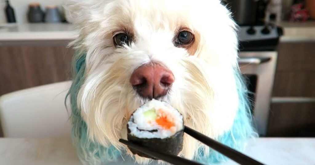 Can Dogs Eat Sushi