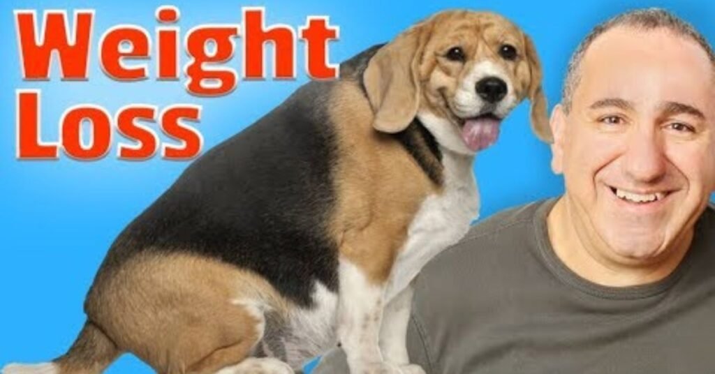 Weight Management Dog Food