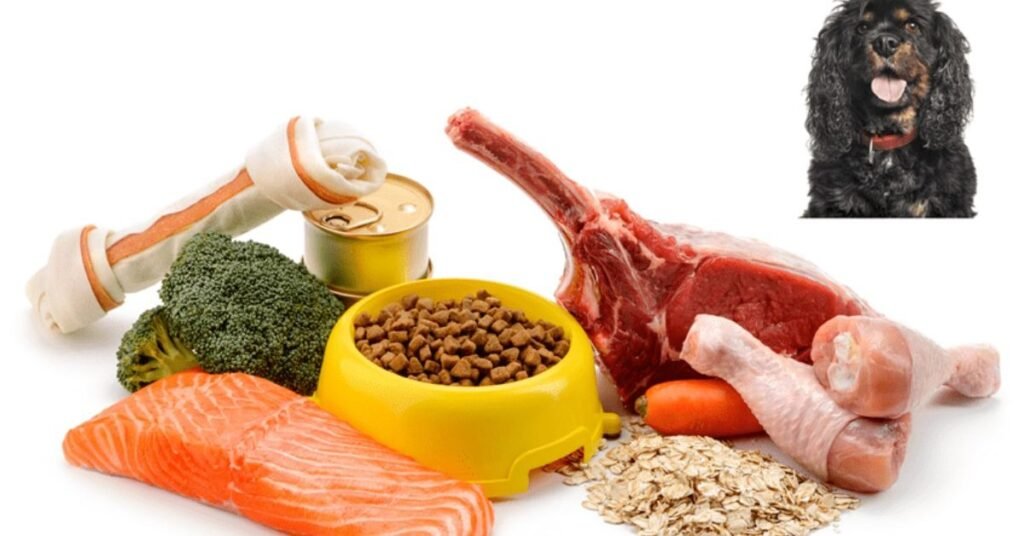 Weight Management Dog Food