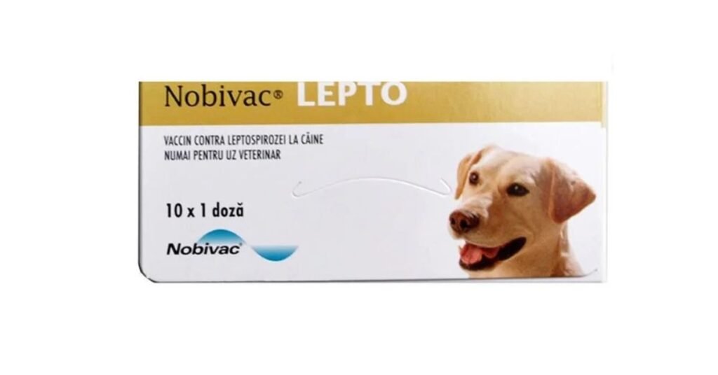 Lepto Vaccine For Dogs