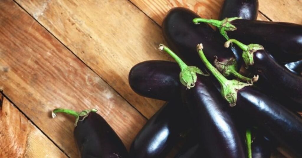 Can Dogs Eat Eggplant