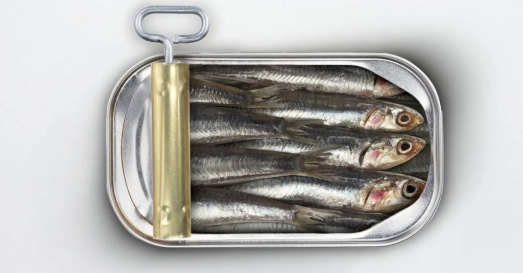 Can Dogs Eat Sardines