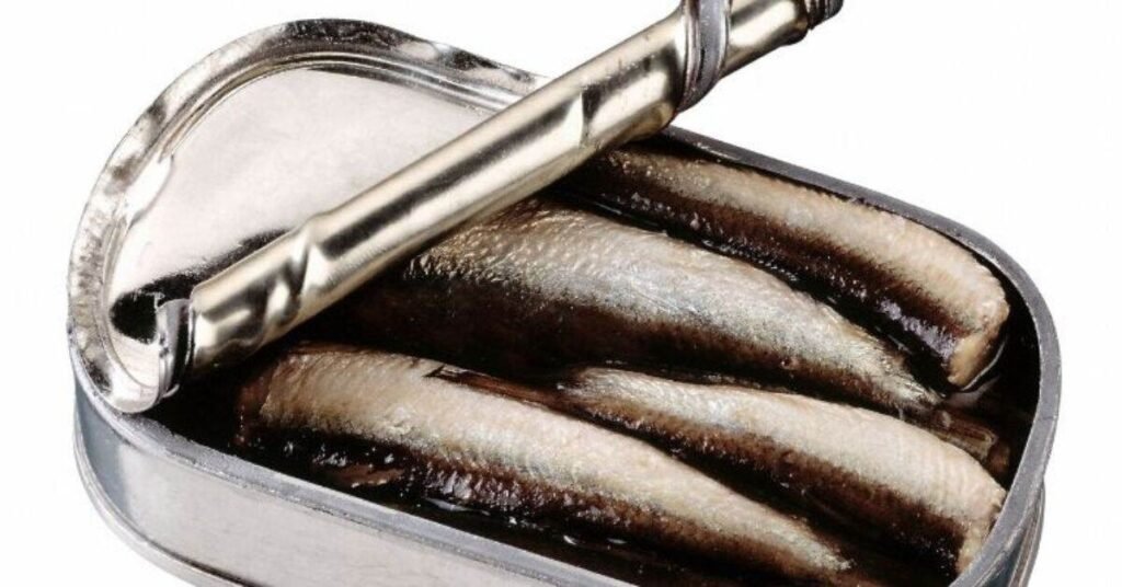 Can Dogs Eat Sardines