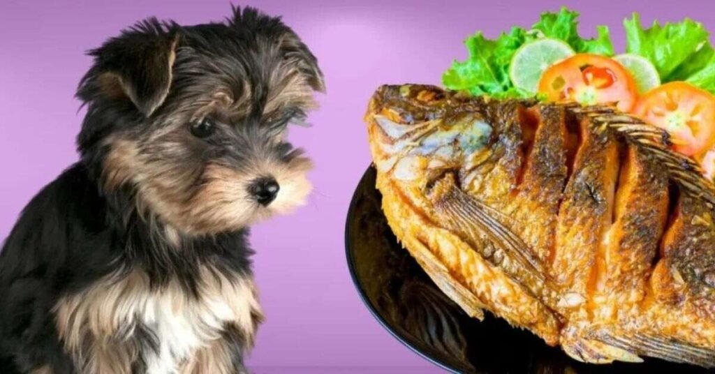 Do Dogs Eat Fish 