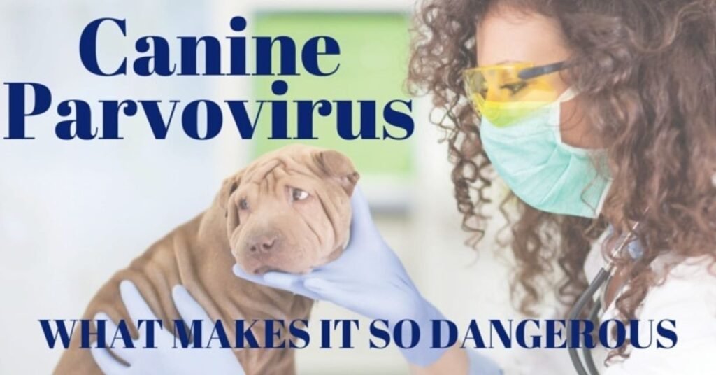 Parvo Vaccine for Dogs 