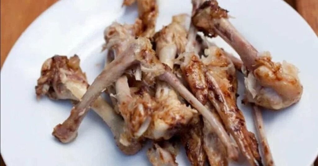 Dog Ate Chicken Bones