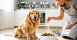Brewers Yeast for Dogs