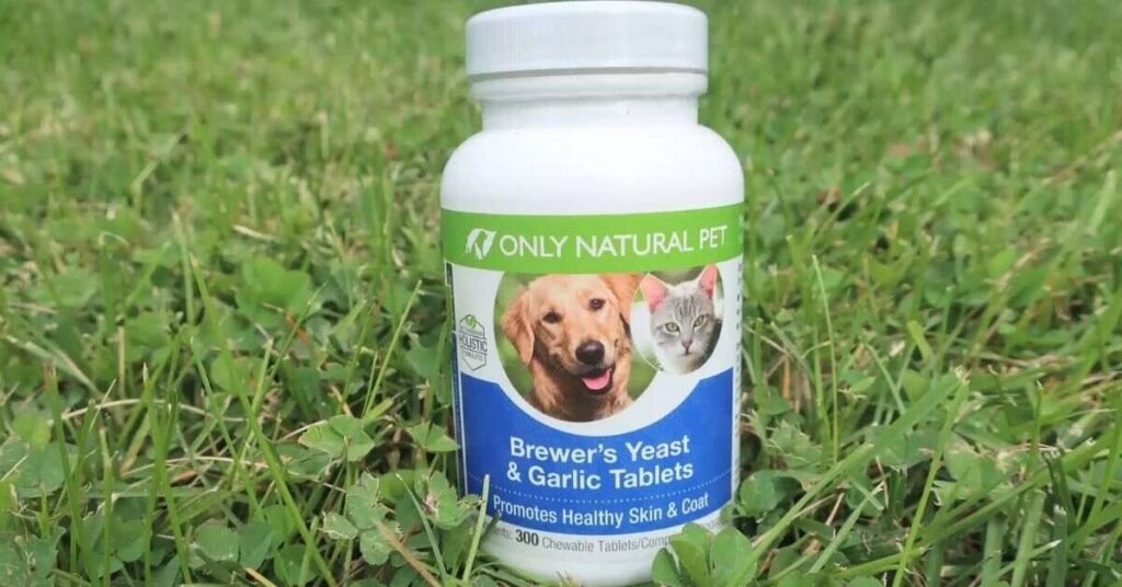 Brewers Yeast for Dogs