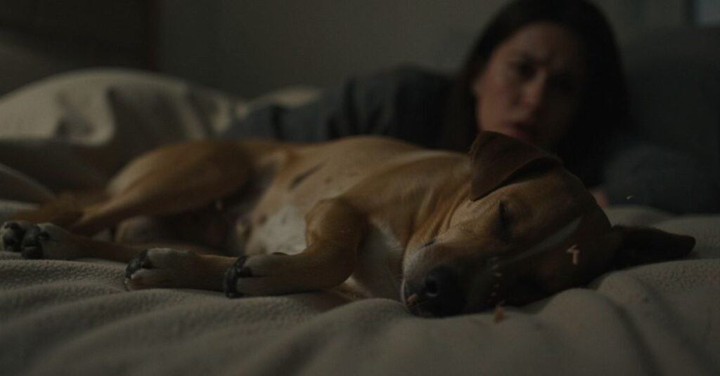 Dog Barking in Sleep 