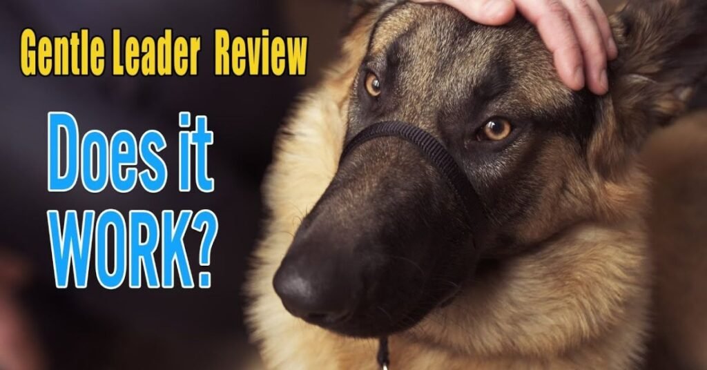 Gentle Leader for Dogs 