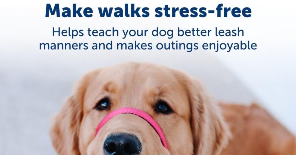 Gentle Leader for Dogs 