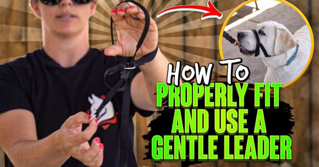 Gentle Leader for Dogs 