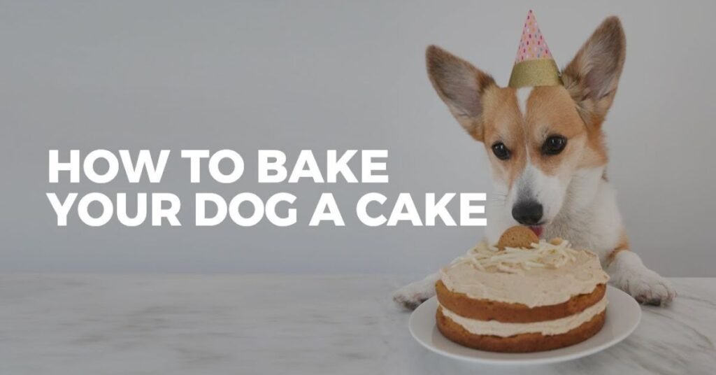 can dogs eat cake