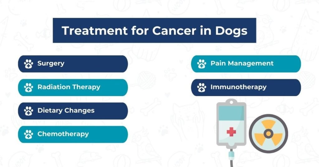 Cancer Signs in Dogs