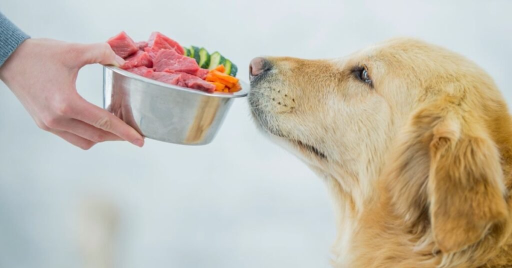 Healthy Weight Dog Food 
