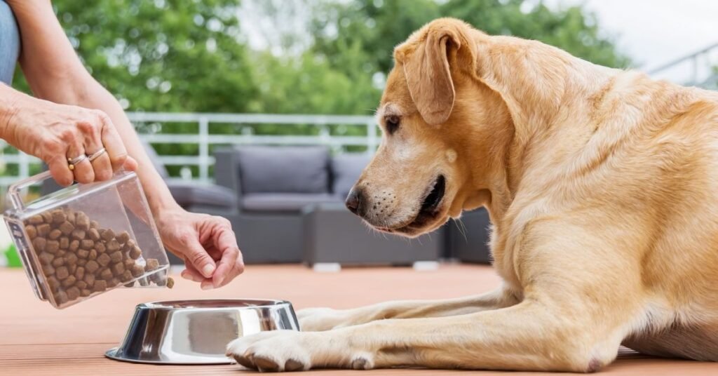 Healthy Weight Dog Food 