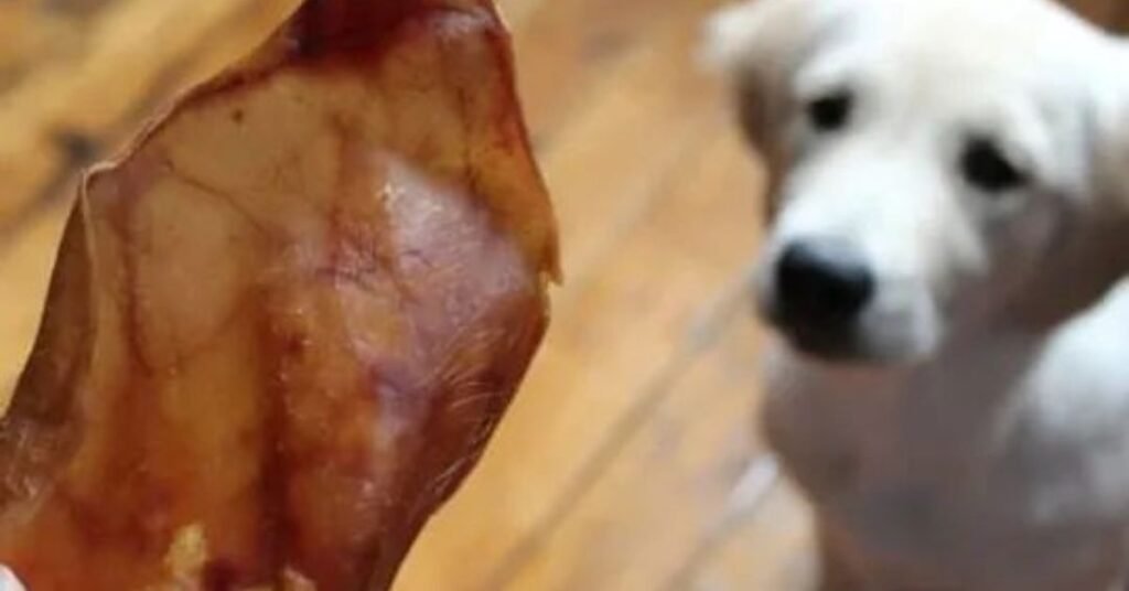 Pigs Ears for Dogs