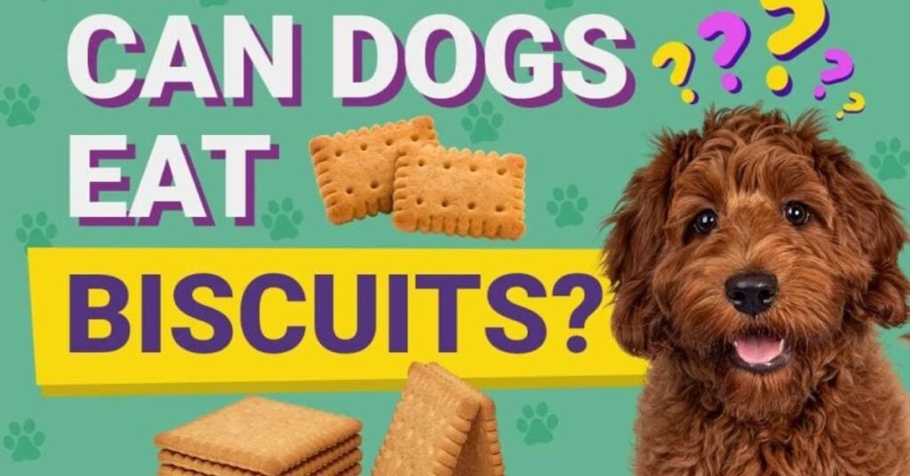 Can Dogs Eat Biscuits 