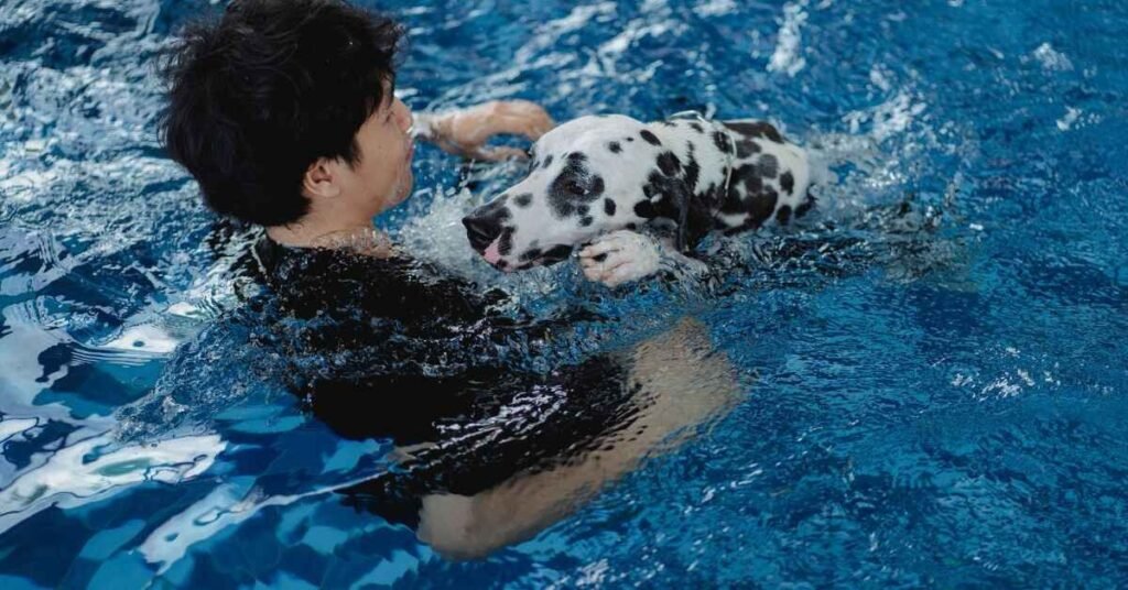 Do All Dogs Swim 