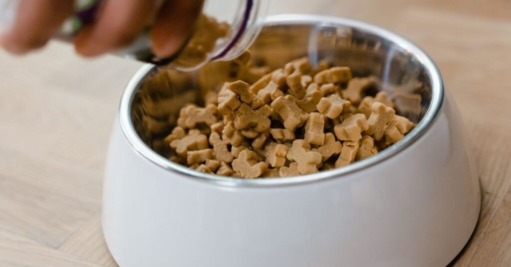 Protein in Dog Food