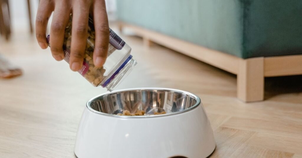 Protein in Dog Food