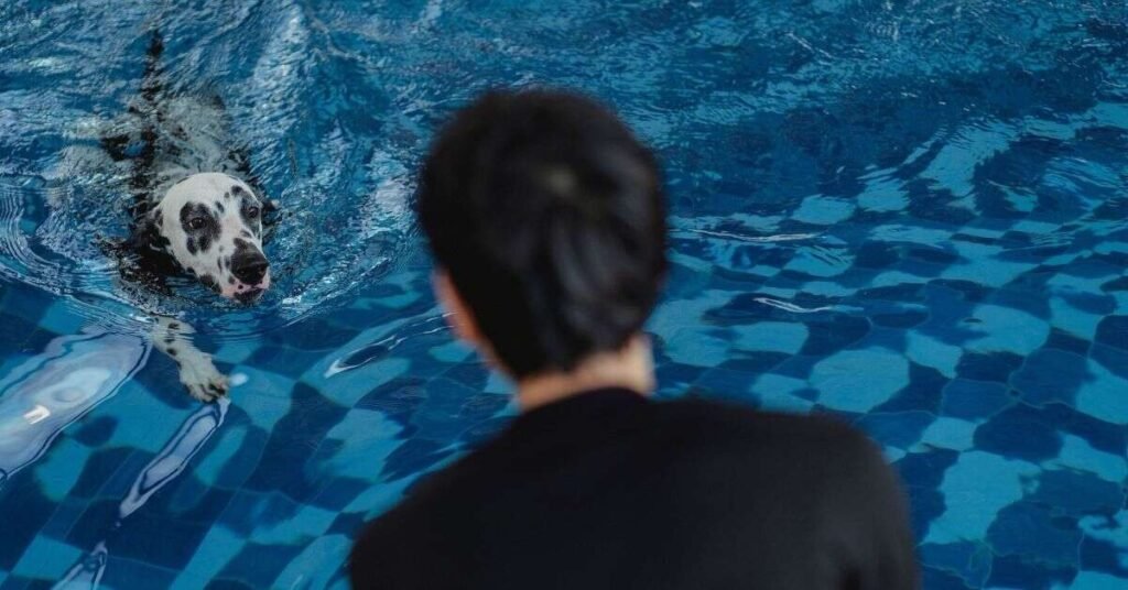 Do All Dogs Swim 