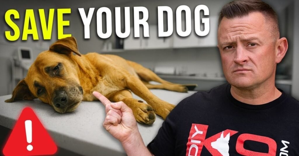 Dog Bloat 