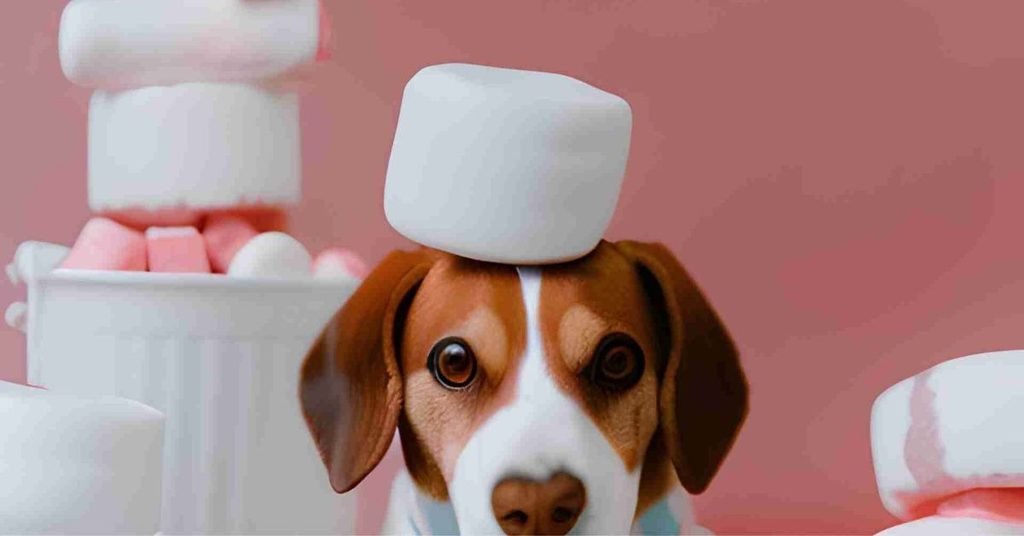 Can Dogs Eat Marshmallows