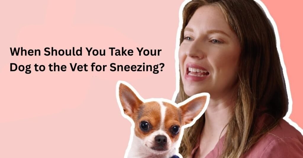 my dog keep sneezing